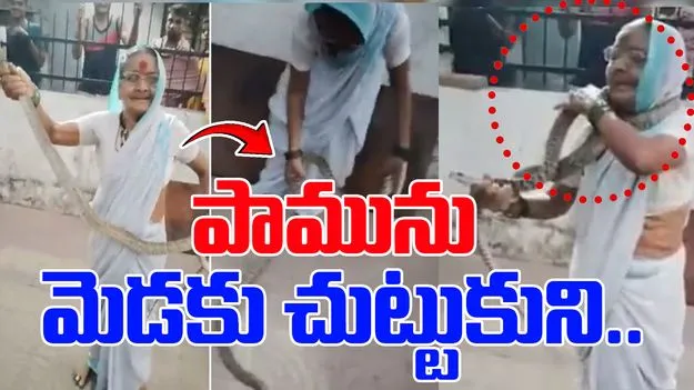 Snake Around Neck: 70 ఏళ్ల బామ్మ సాహసం.. పామును మెడకు చుట్టుకుని..