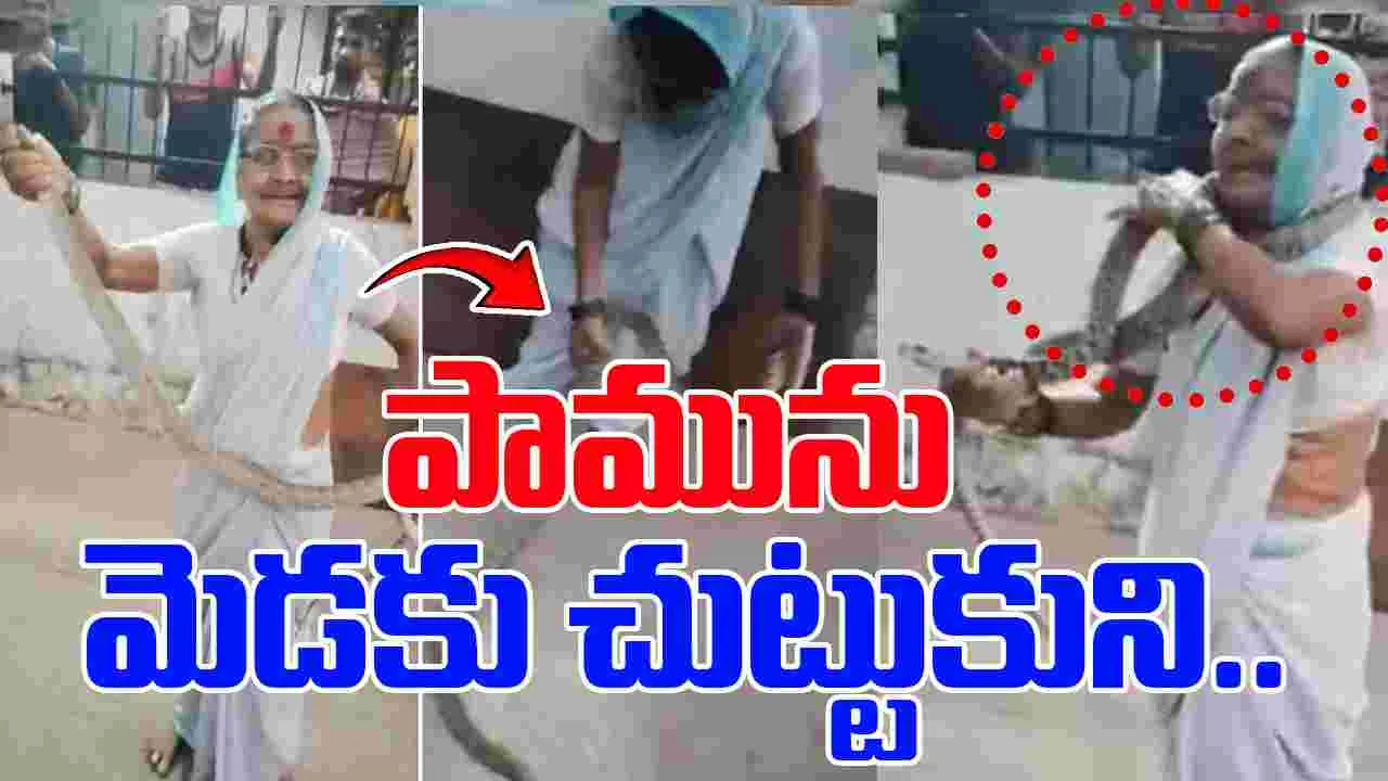 Snake Around Neck: 70 ఏళ్ల బామ్మ సాహసం.. పామును మెడకు చుట్టుకుని.. 