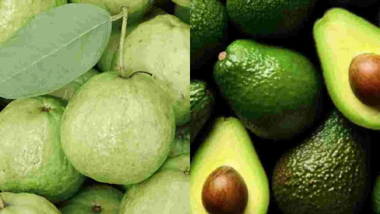 జామకాయ vs అవకాడో.. ఏది మంచిదో తెలుసా?