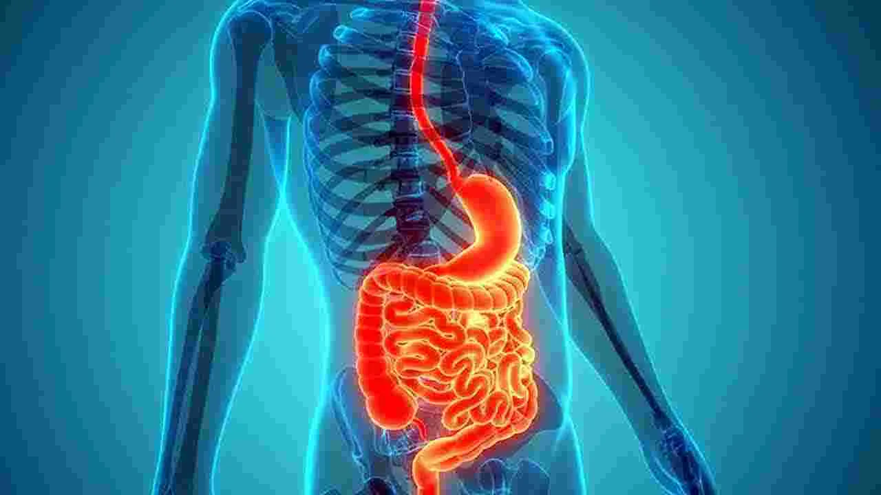 Health Tips: తేనెలో ముంచిన జీడిపప్పు తినడం వల్ల ఎన్ని ప్రయోజనాలు ఉన్నాయో తెలుసా..