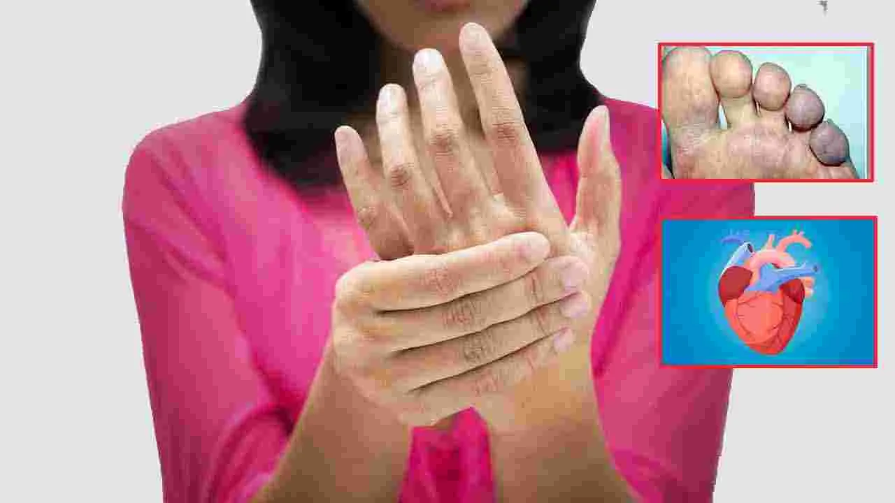 Heart attack symptoms: మీ చేతులు, కాళ్ళలో ఈ 5 లక్షణాలు కనిపిస్తే.. హార్ట్ ఎటాక్ ముప్పు..!