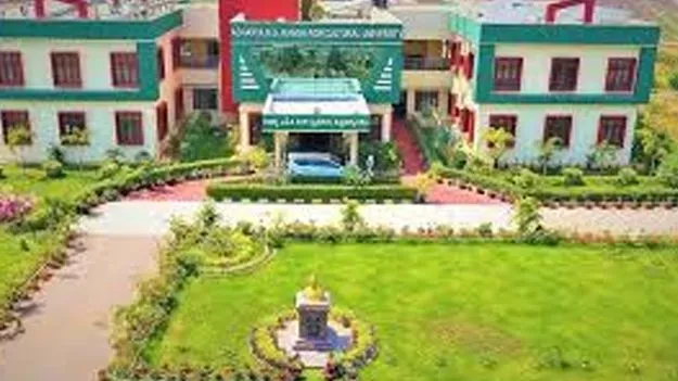 Diploma Courses: డిప్లమో కోర్సుల వెబ్‌ ఆప్షన్ల గడువు పెంపు