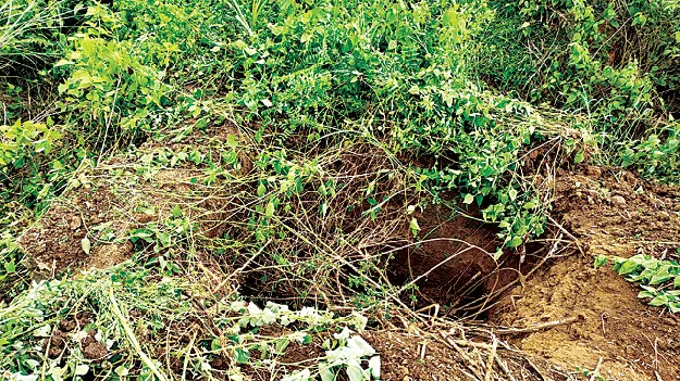 వంశధార ప్రధాన ఎడమ కాలువకు రంధ్రం