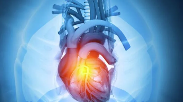 Heart: గుండె ఆరోగ్యాన్ని కాపాడే 7 ఆయుర్వేద చిట్కాలు..