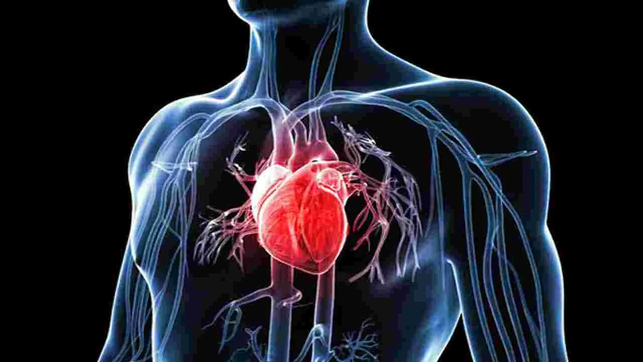 Health Tips: ఈ పండును రోజుకు ఒకసారి తింటే.. వ్యాధులన్నీ పరారవ్వాల్సిందే.. 