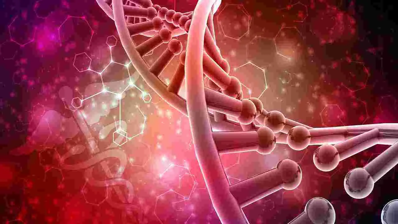 Health Tips: రాత్రి 7లోపు భోజనం చేస్తే.. శరీరంలో ఎలాంటి మార్పులు జరుగుతాయో తెలుసా..