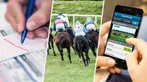 Horse Race Betting: హార్స్ రేస్ బెట్టింగ్కు వాట్సాప్ గ్రూప్