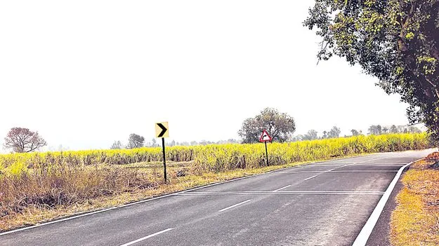 TG Govt: హ్యామ్‌ రోడ్లకు ప్రత్యేక అథారిటీ