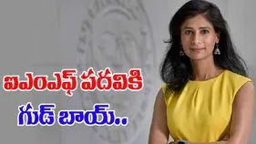 IMF Gita Gopinath: ఐఎంఎఫ్ డిప్యూటీ ఎండీ గీతా గోపీనాథ్ పదవికి గుడ్ బాయ్.. 