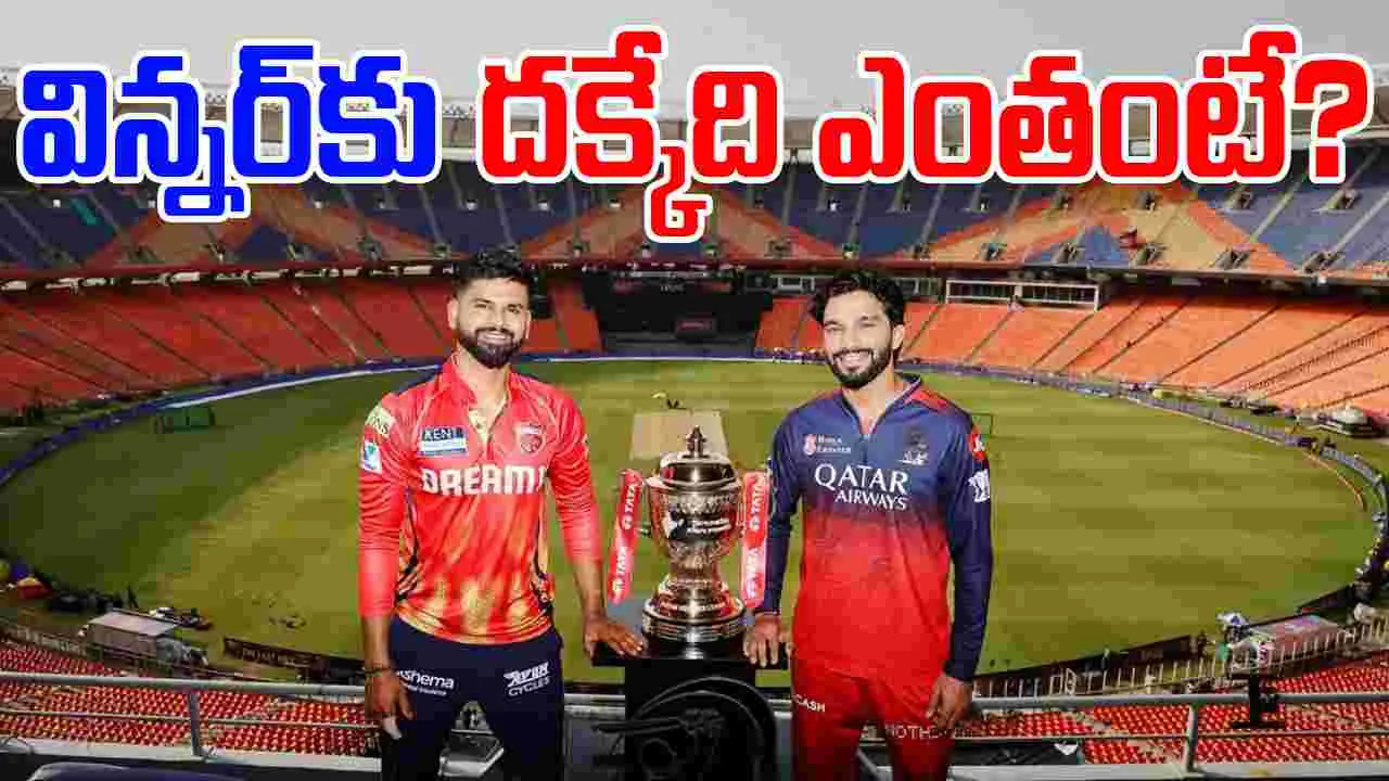 IPL 2025 Prize Money: కప్పు కోసం కొట్లాట.. గెలిస్తే కోట్ల వర్షం.. విన్నర్‌కు అందేది ఎంతంటే?