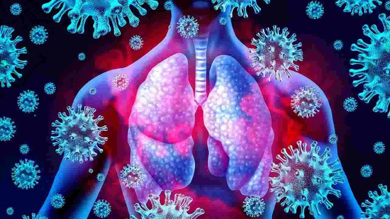Health Tips: తేనెలో ముంచిన జీడిపప్పు తినడం వల్ల ఎన్ని ప్రయోజనాలు ఉన్నాయో తెలుసా..