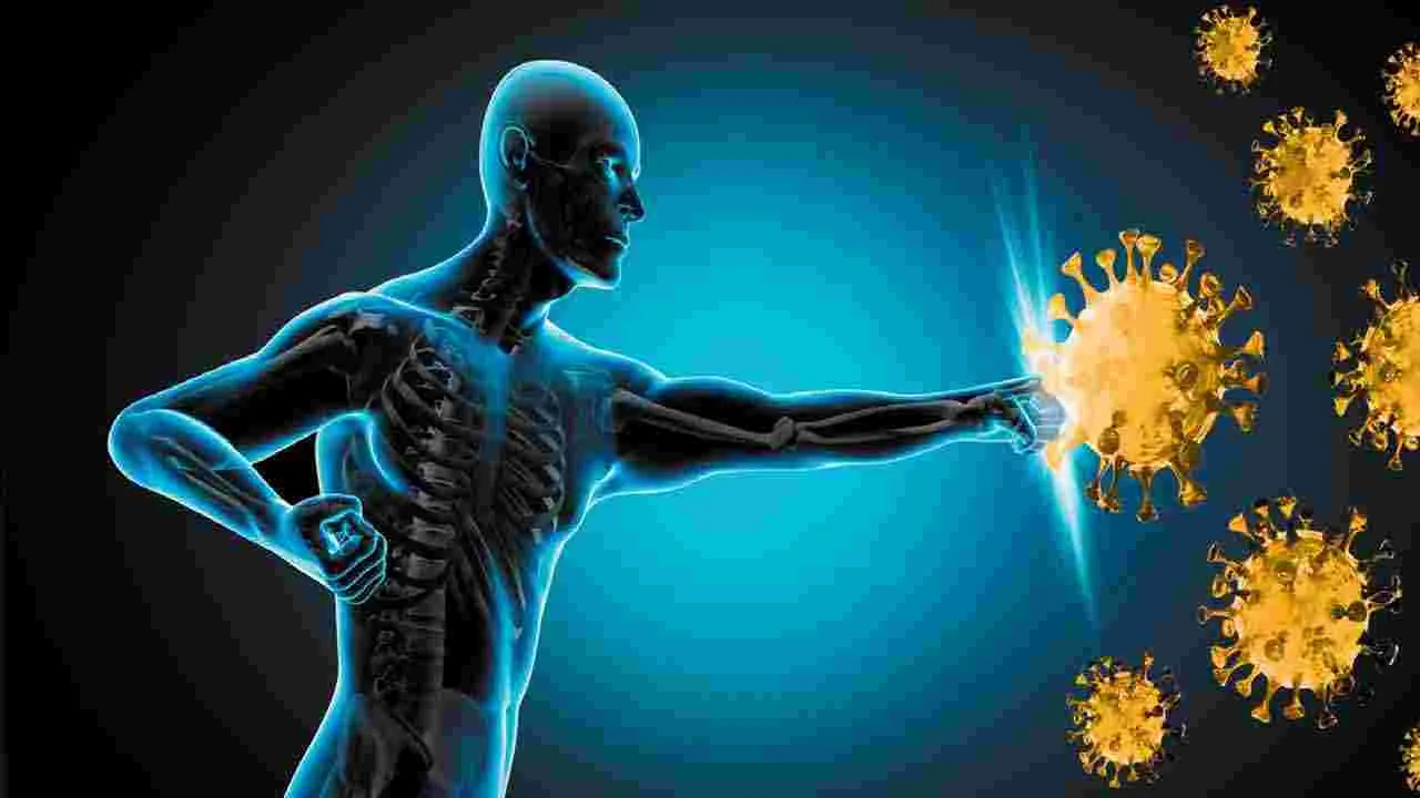 Monsoon Health Tips: వర్షాకాలంలో పాలకూర రసం తాగితే ఏమవుతుందో తెలుసా..