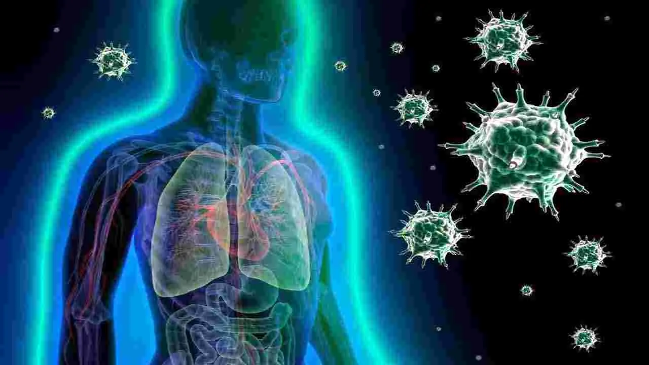 Health Tips: రోజూ పచ్చి టమోటాలు తినడం వల్ల కలిగే 6 ప్రయోజనాలివే.. 
