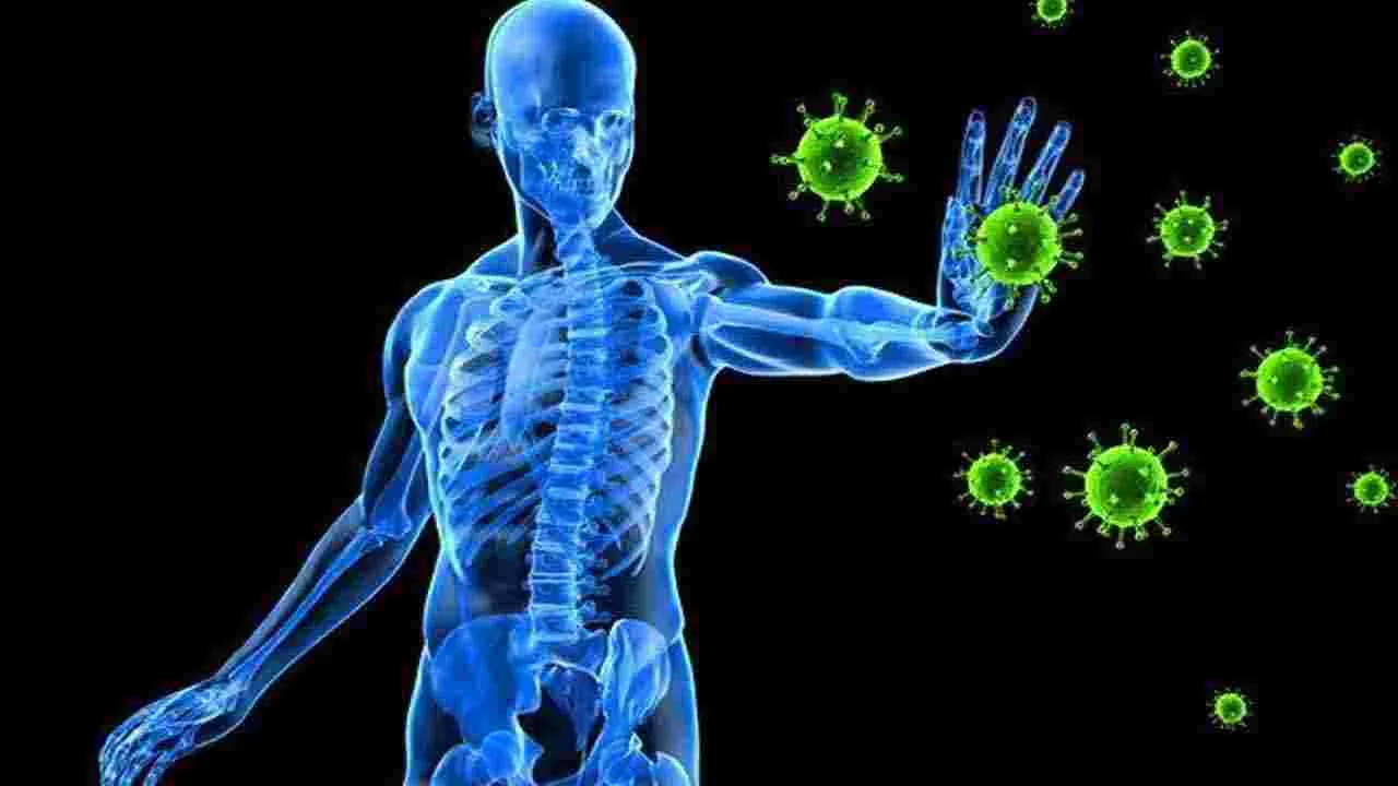 Health Tips: మామిడి పండు జ్యూస్లో పాలు కలిపి తాగుతున్నారా.. అయితే ఈ నిజాలు తెలిస్తే షాక్ అవుతారు..