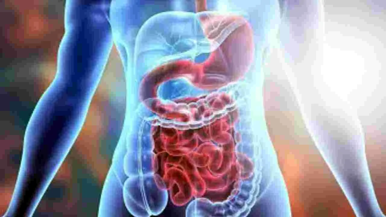 Health Tips: రోజూ పచ్చి టమోటాలు తినడం వల్ల కలిగే 6 ప్రయోజనాలివే.. 