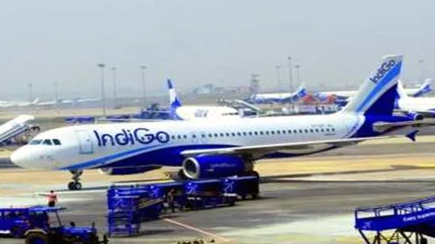 Indigo Discrimination: విమానం నడిపే అర్హత లేదు..చెప్పులు కుట్టుకో