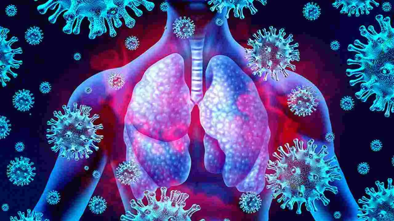 Health Tips: రోజూ రాత్రి ఈ నీటిని తాగితే.. 14 రోజుల్లో జరిగేది ఇదే..