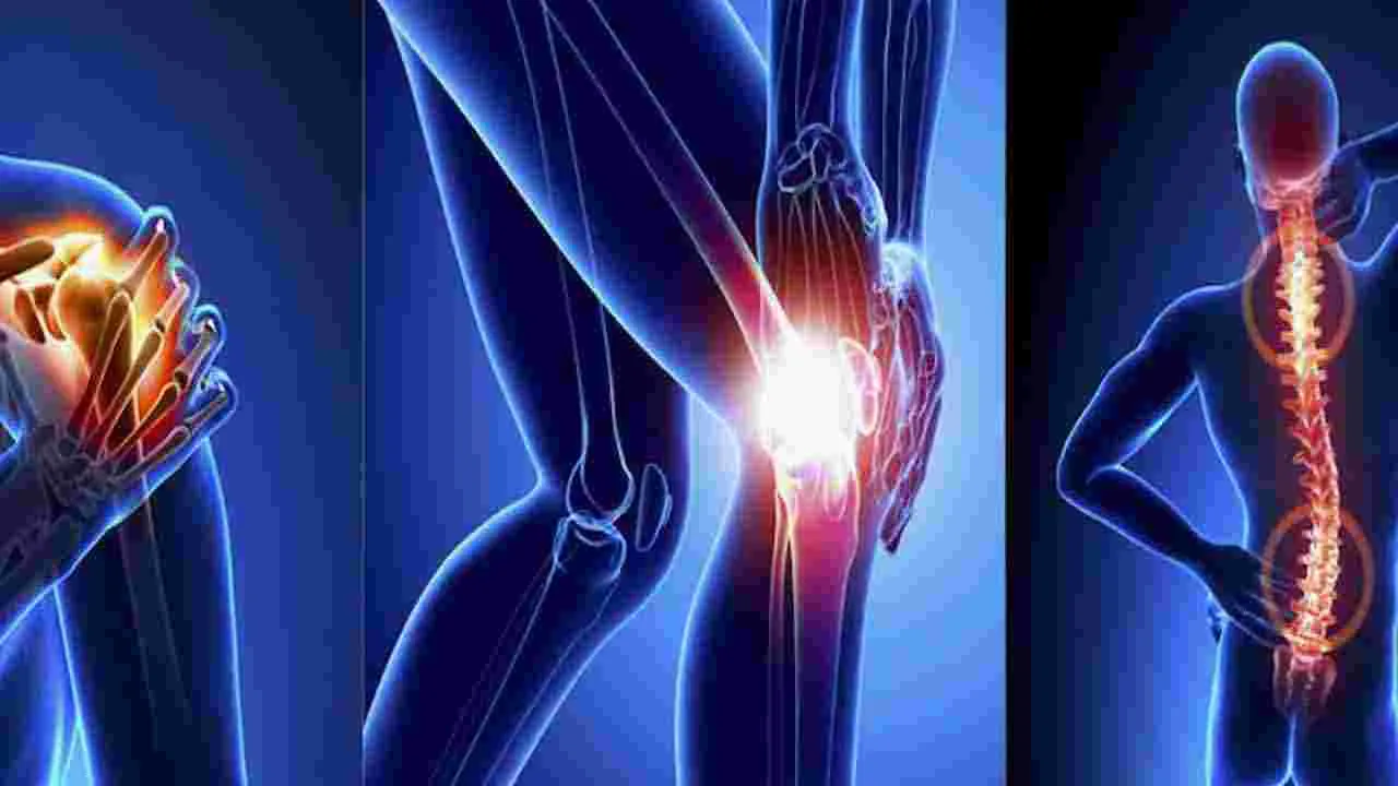 Spinal Health: మీ వెన్నెముక ఇనుములా మారిపోవాలా.. అయితే ఇవి తీసుకోండి చాలు..