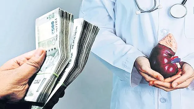 నగరంలో కిడ్నీ రాకెట్‌?