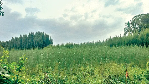 A lot of change! ఎంతో మార్పు!