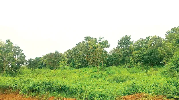 మరో భూసేకరణ