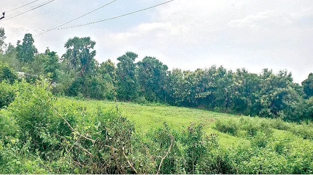 కాలువ నిర్మించరు.. పరిహారం చెల్లించరు