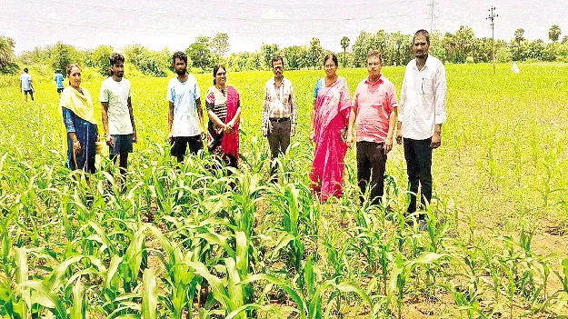 సీడ్‌ డ్రిల్‌ యంత్రంతో సాగు లాభదాయకం