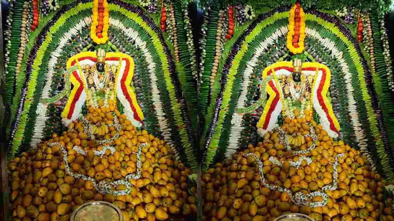 కడపలో శాకంబరిగా  వాసవి కన్య పరమేశ్వర దేవి