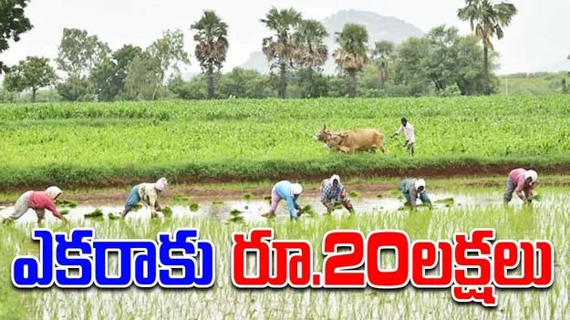 Karedu Farmers: కరేడు రైతులకు ఎకరాకు రూ.20లక్షలు