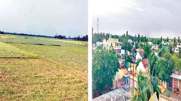 Karredou Farmers Protest: పచ్చని పొలాల్లో ఇండోసోల్‌ మంటలు