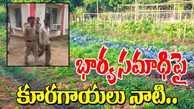 Man Buries Wife: భార్యను చంపి సమాధిపై కూరగాయలు నాటాడు.. 9 నెలల తర్వాత..