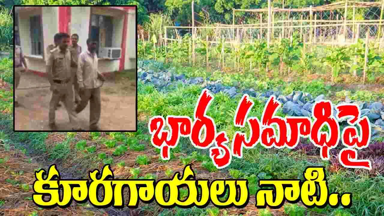 Man Buries Wife: భార్యను చంపి సమాధిపై కూరగాయలు నాటాడు.. 9 నెలల తర్వాత..