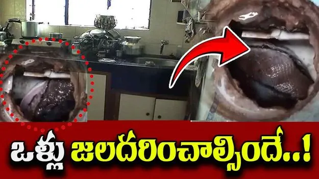 Viral Video: వంట గది నుంచి వింత శబ్దాలు.. ఏంటా అని దగ్గరకు వెళ్తే ఒళ్లు జలదరించే దృశ్యం..