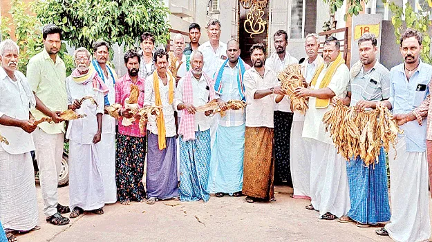 హామీలకే పరిమితమైన పొగాకు కొనుగోళ్లు