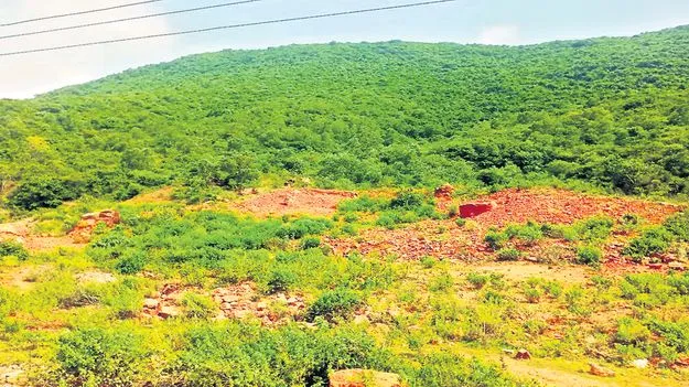 సర్కారు భూమికి స్కెచ్‌