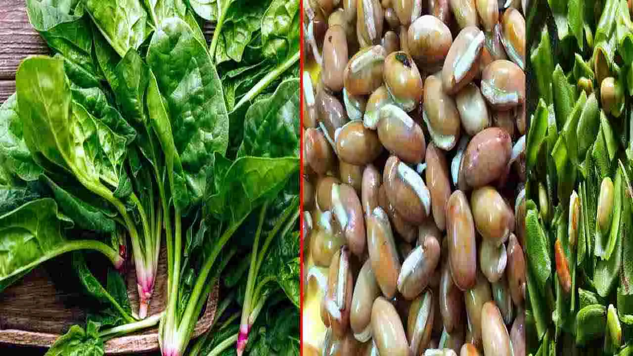Health Tips: ఆందోళన నుంచి బయటపడడానికి ఈ 6 ఆహార పదార్థాలు తీసుకుంటే చాలు..
