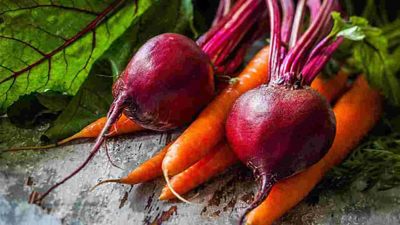 Spinal Health: మీ వెన్నెముక ఇనుములా మారిపోవాలా.. అయితే ఇవి తీసుకోండి చాలు..