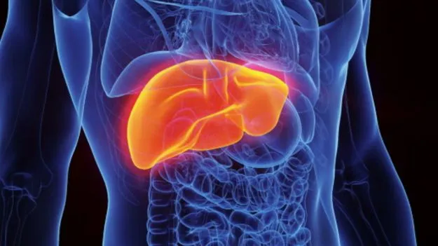 Morning Health Mistakes: జాగ్రత్త.. ఉదయం ఈ 4 అలవాట్లు మీ కాలేయాన్ని దెబ్బ తీస్తాయి..!