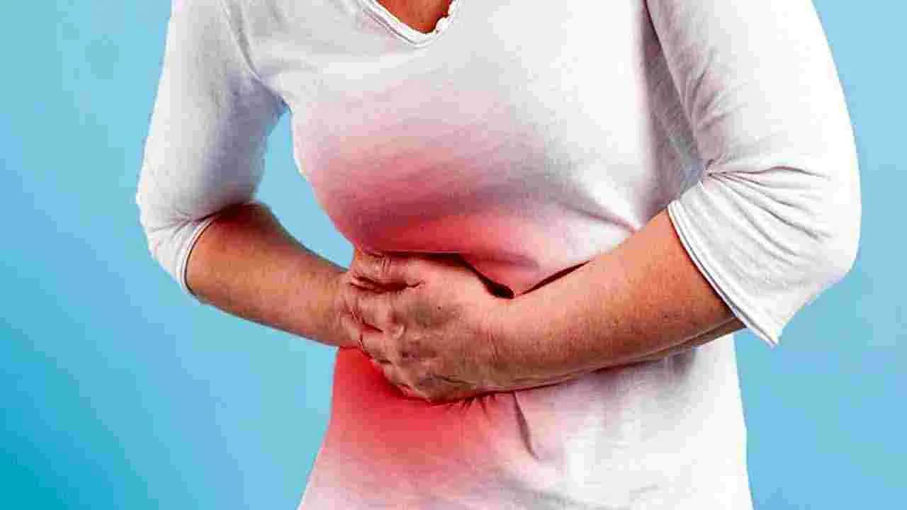 Liver Health Tips: దెబ్బతిన్న కాలేయం బాగుపడాలంటే.. వెంటనే ఈ 5 పనులు చేయండి చాలు..