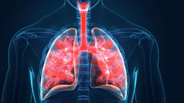 Tips To Keep Lungs Healthy: ఊపిరితిత్తుల ఆరోగ్యం కోసం వీటిని తీసుకోండి..!