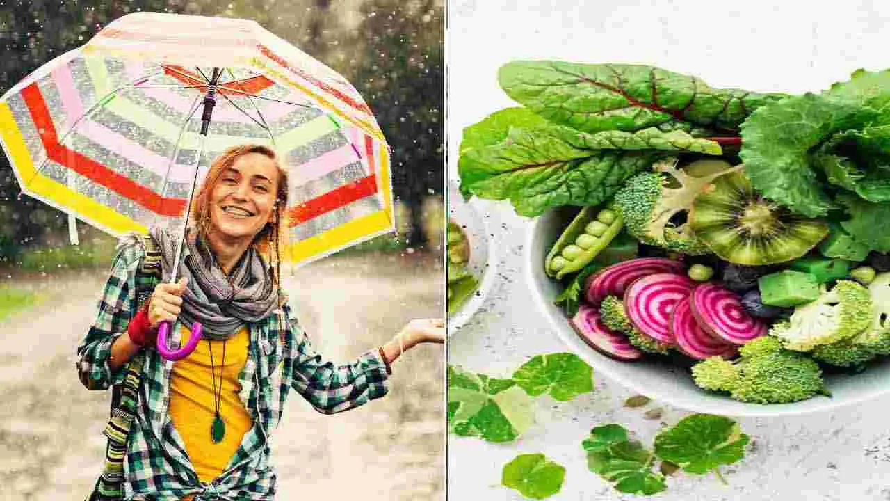 Monsoon Diet: వర్షాకాలంలో ఈ పదార్థాలు తింటే పేగు ఆరోగ్యానికి ముప్పు..!