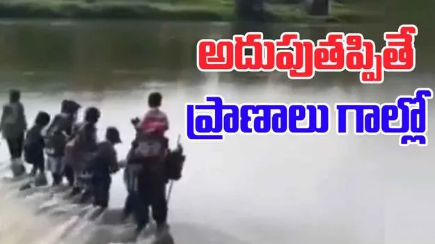 Viral Video: చదువుకోసం చిన్నారుల సాహసం.. ప్రాణాలకు తెగించి..