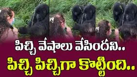 Gorilla Funny Video: భార్య ముందు వేషాలేస్తే బడితపూజే.. ఈ గొరిల్లా చేసిన పని చూస్తే పగలబడి నవ్వుతారు..