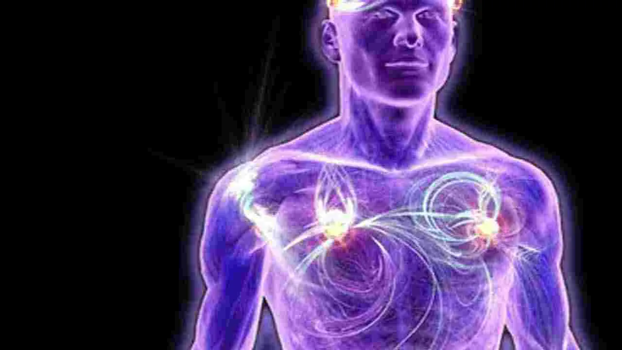 Health Tips: ఉదయం ఖాళీ కడుపుతో కరివేపాకు నీళ్లు తాగితే జరిగేది ఇదే..