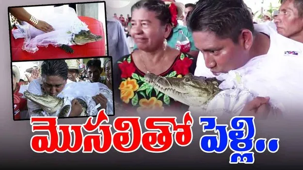 Mayor Marries Crocodile: మొసలిని పెళ్లాడిన మేయర్.. కారణం ఏంటంటే..