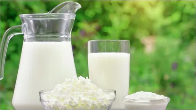 Health Tips:  ఖాళీ కడుపుతో పాలు లేదా పెరుగు తీసుకుంటే ఏమవుతుందో తెలుసా?