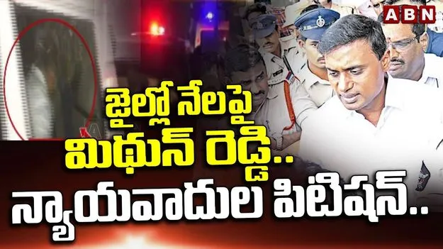 YSRCP MP Mithun Reddy: నాకు జైల్లో వసతులు కల్పించాలి.. ఎంపీ మిథున్రెడ్డి పిటిషన్
