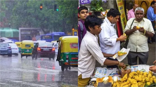 Monsoon Diet: వర్షాకాలం.. వీటిని అస్సలు తినకండి.. 