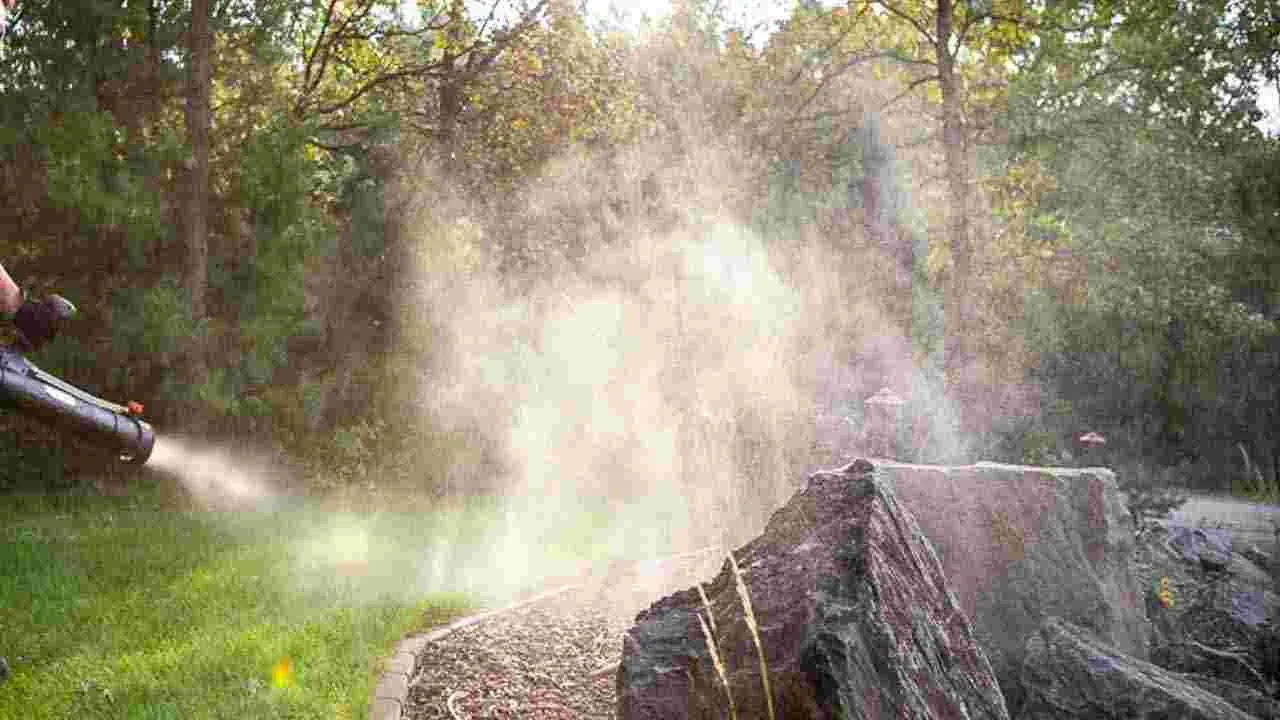 Mosquitos Prevention Tips : దోమలతో విసిగిపోయారా.. అయితే ఈ సింపుల్ చిట్కాను ట్రై చేసి చూడండి..