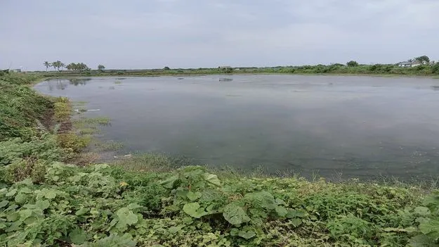 సాగు భూములు.. చెరువులుగా..